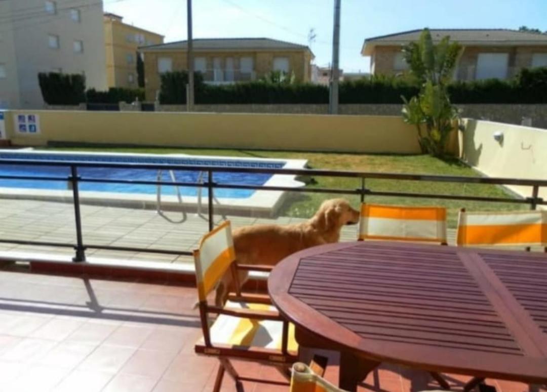Apartamento Con Terraza Y Acceso Directo A La Piscina Y A 50 M De La Playa Miami Playa Bagian luar foto